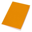 VINICA - eco-neutral A5 Notebook - Orange